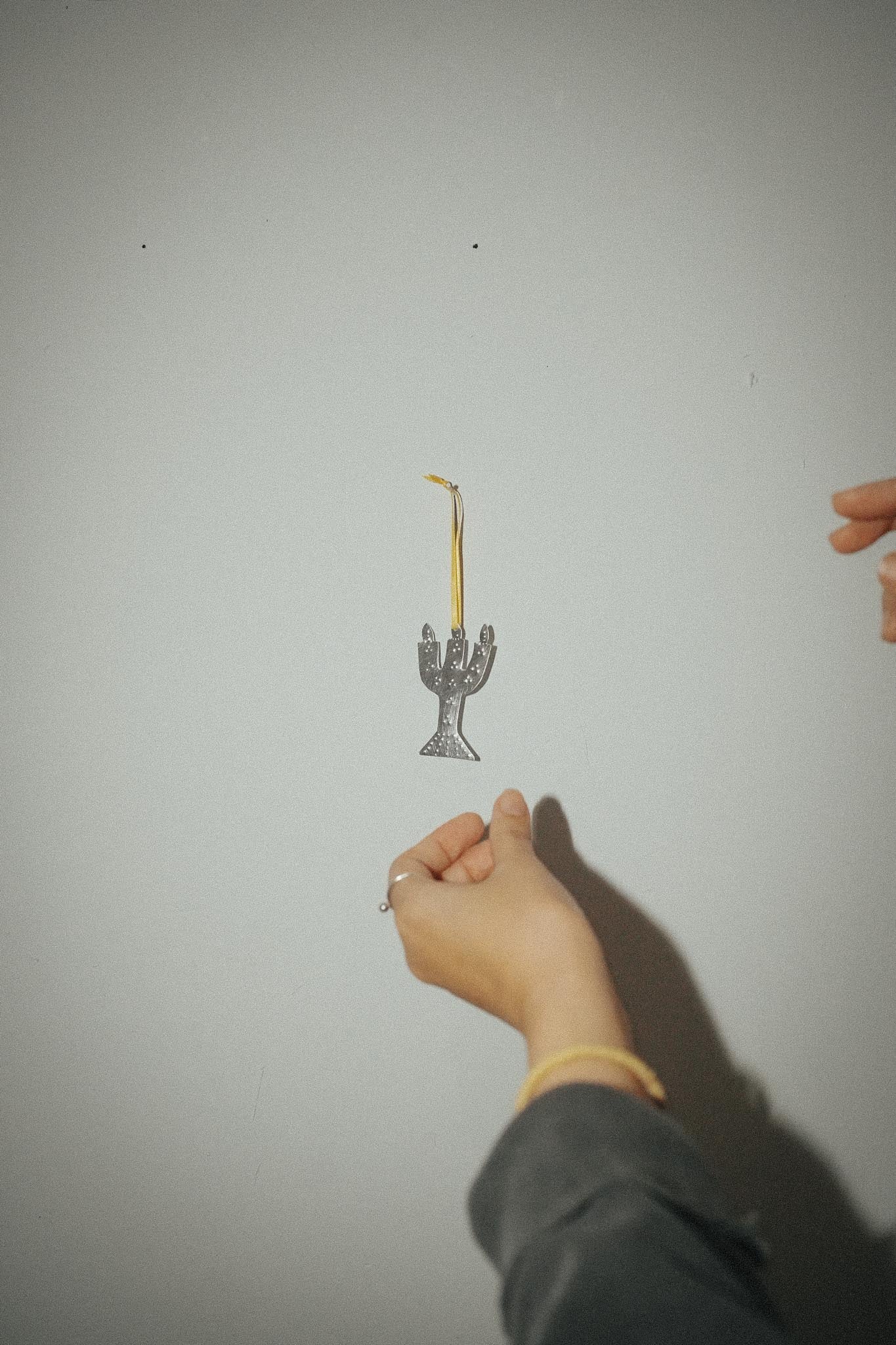 【Karin Okamoto】candle y