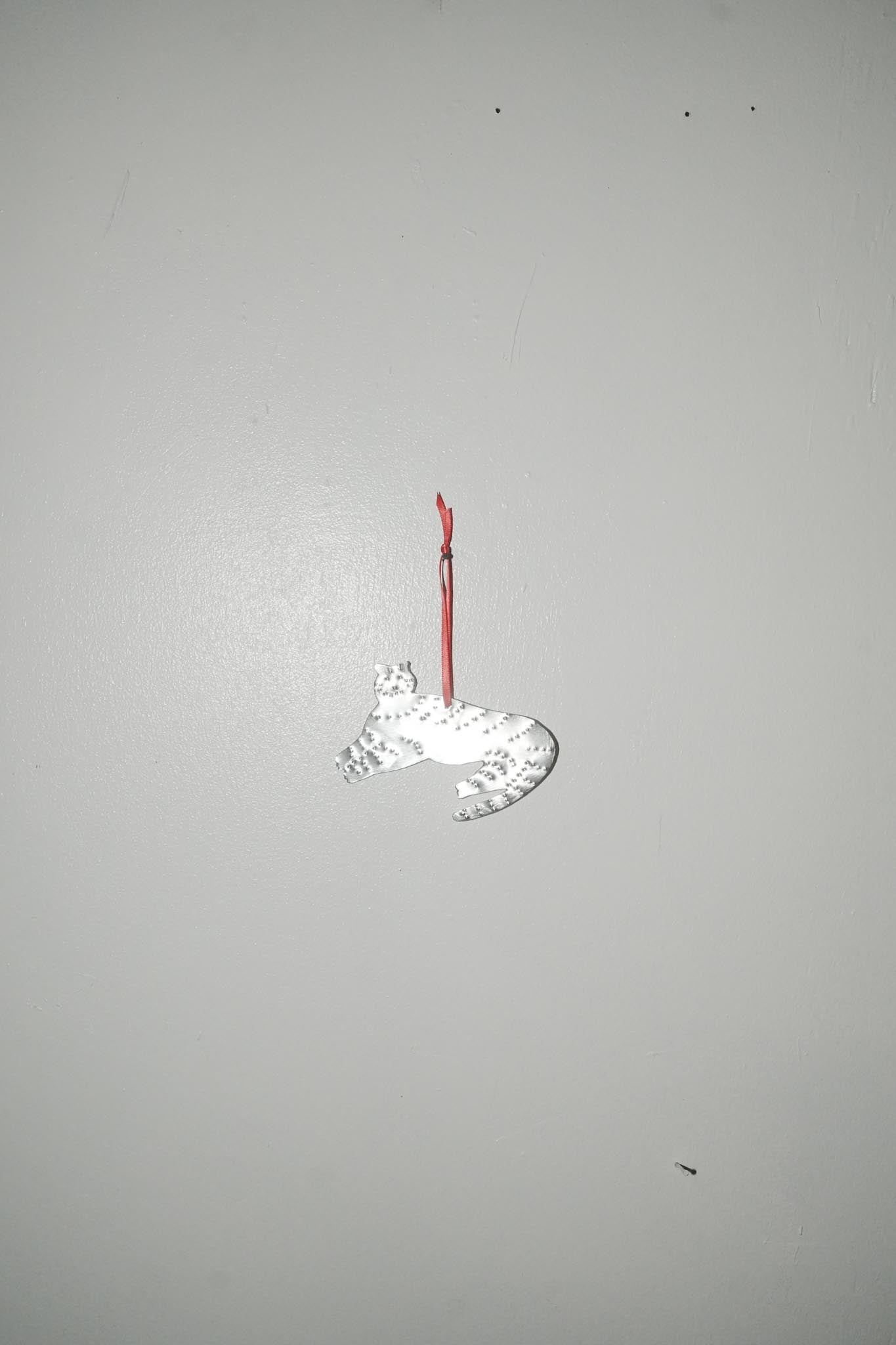 【Karin Okamoto】TIGER