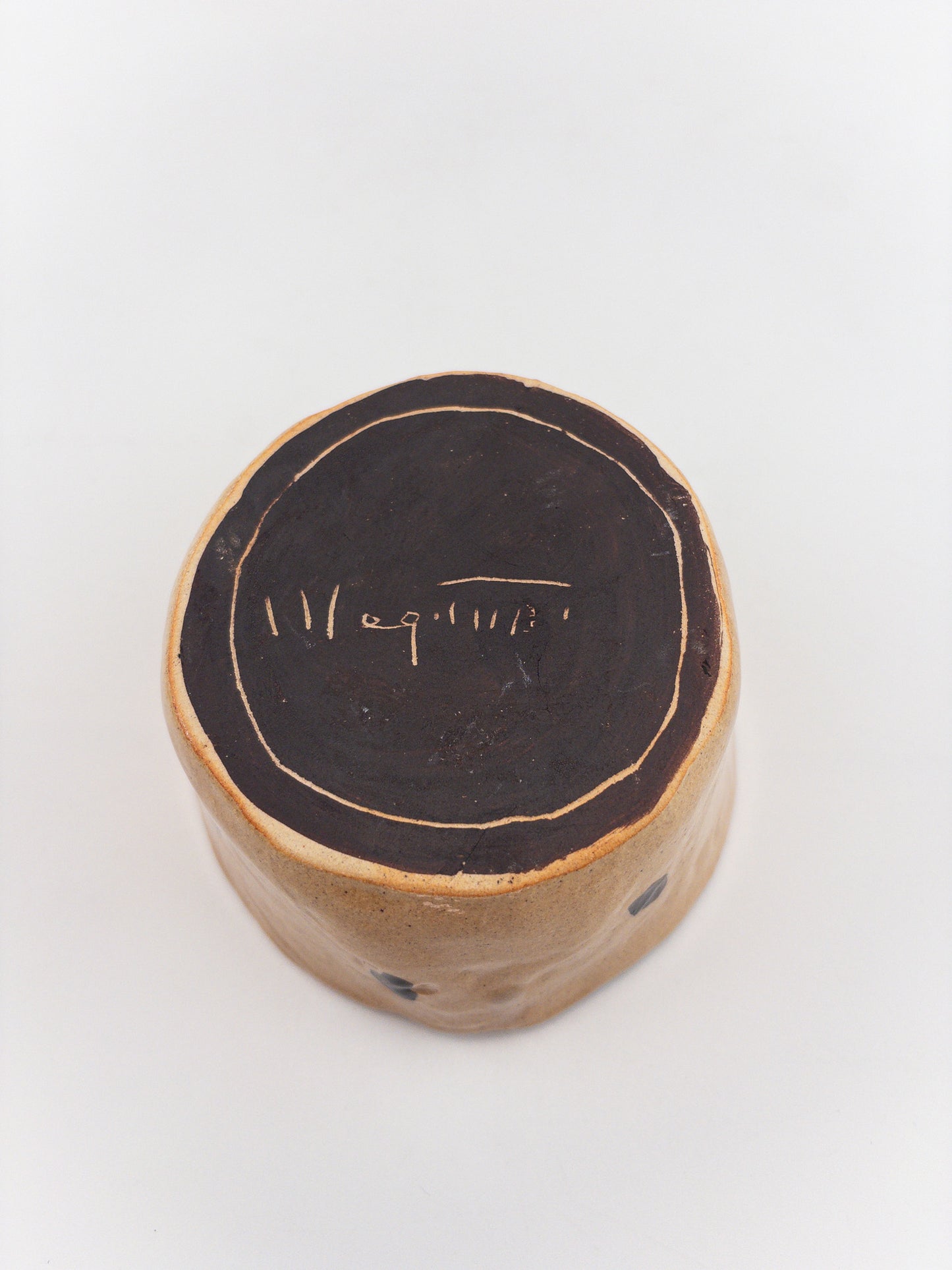 【追分めぐみ】 型鉢 18