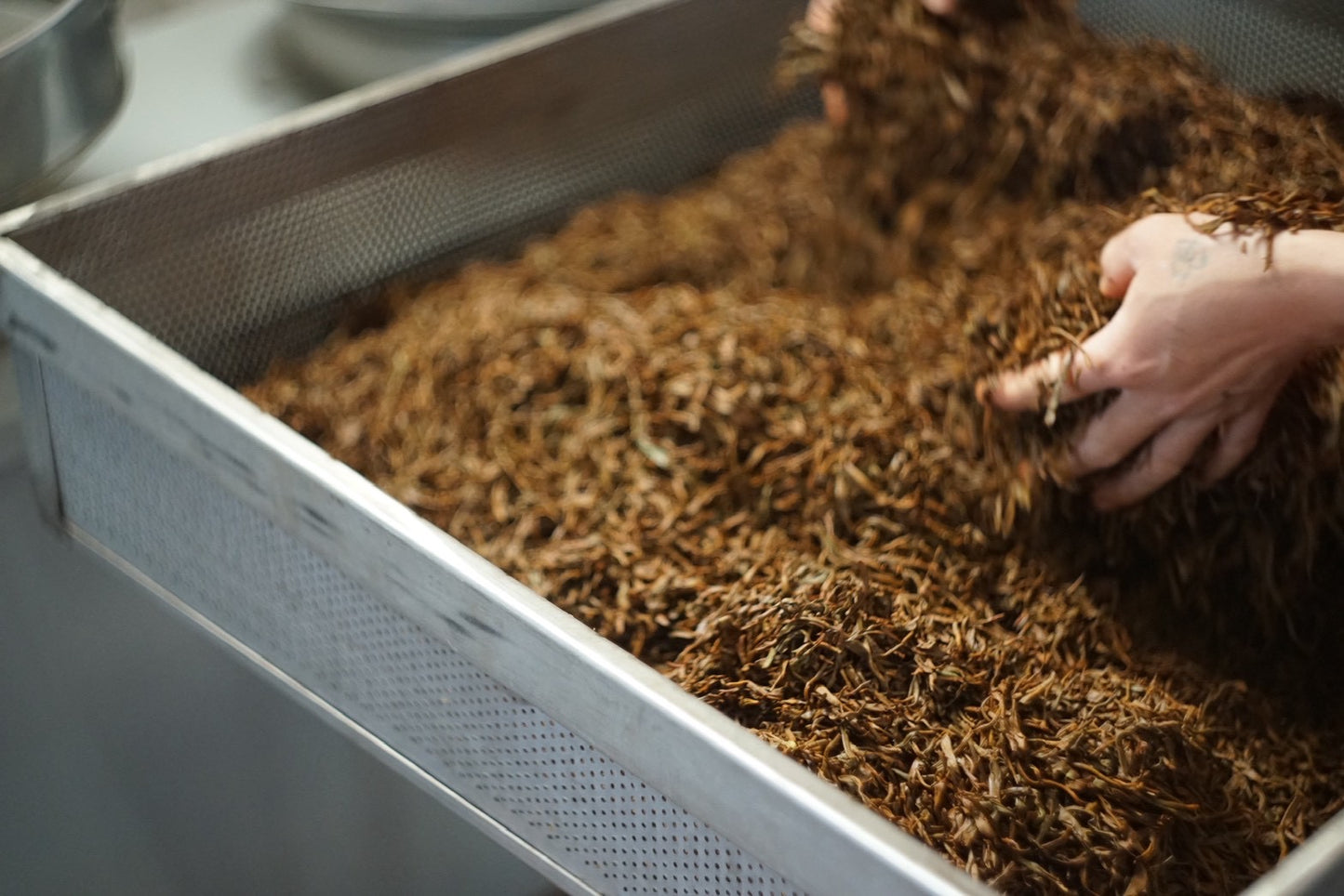 【TARAHA】Himalayan Organic Tea