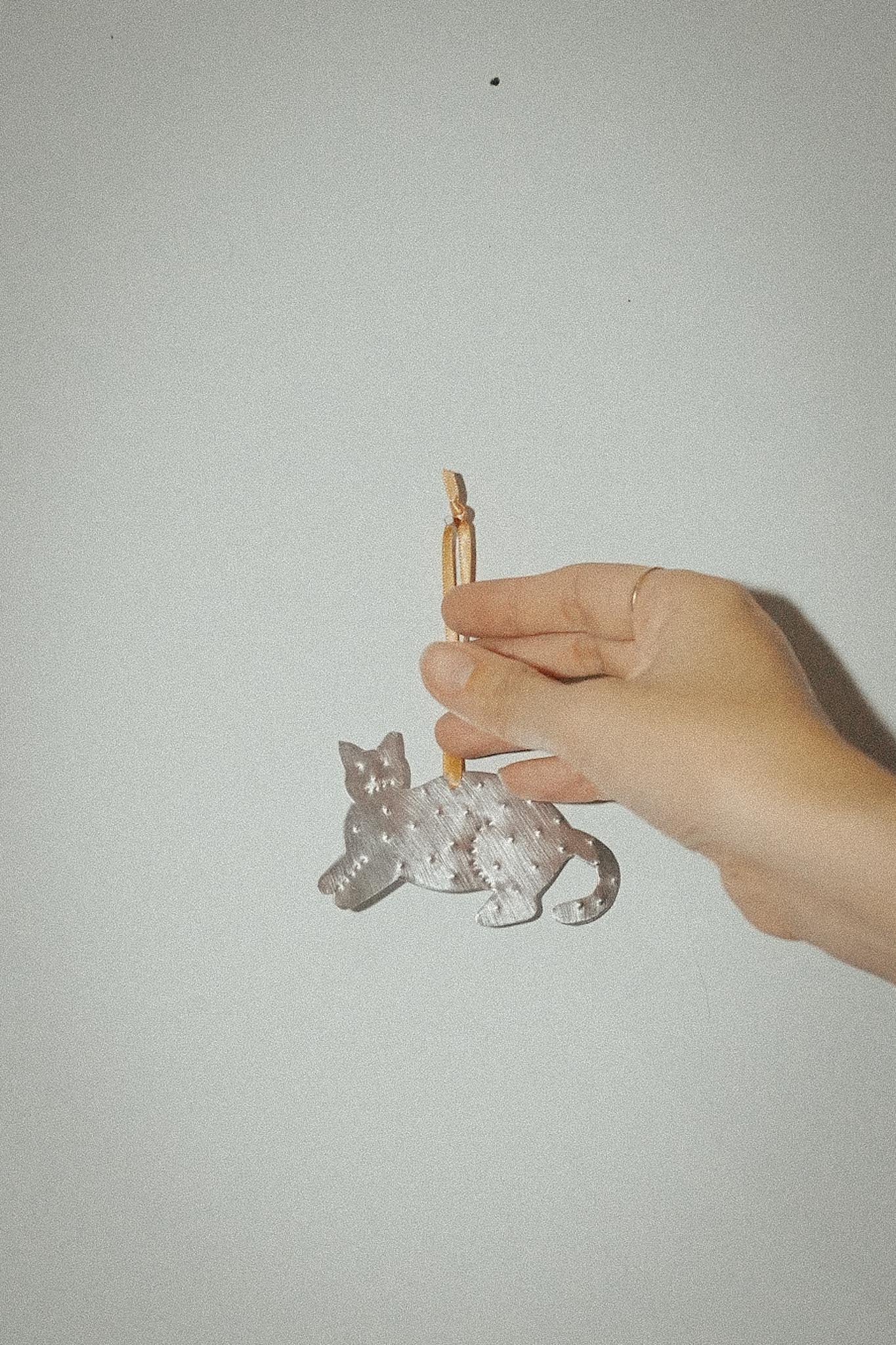 【Karin Okamoto】CAT