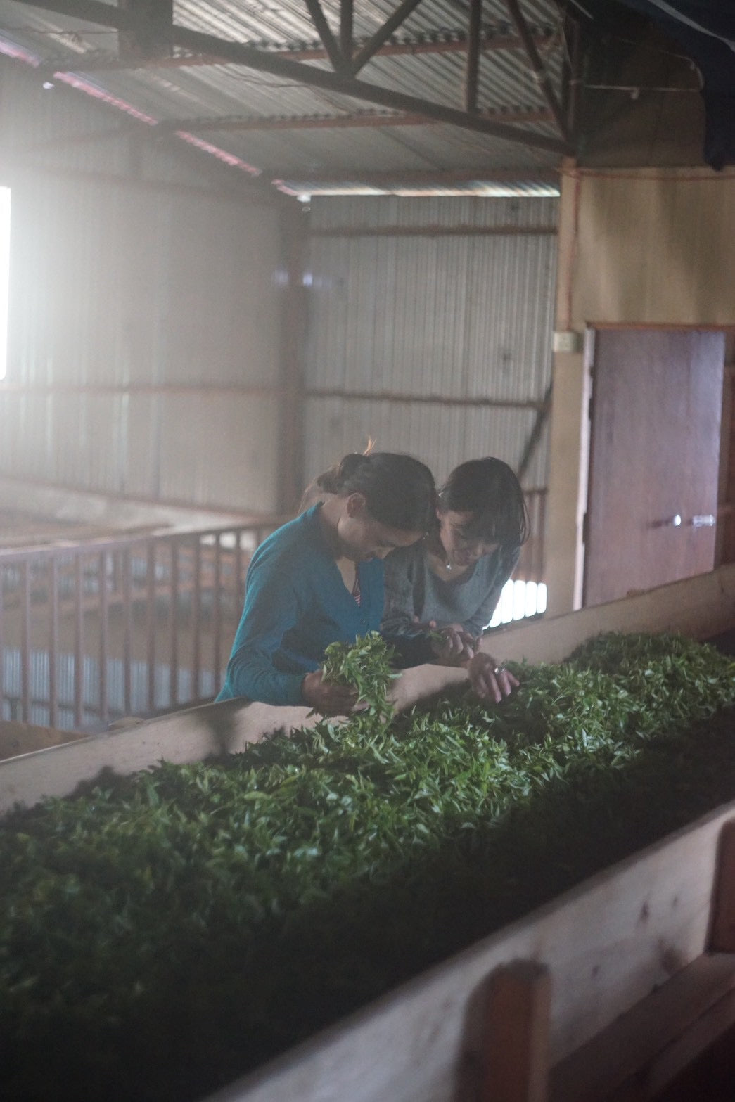 【TARAHA】Himalayan Organic Tea