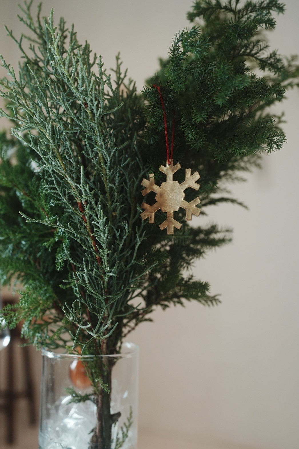 ブラス　スノ－ナメント A