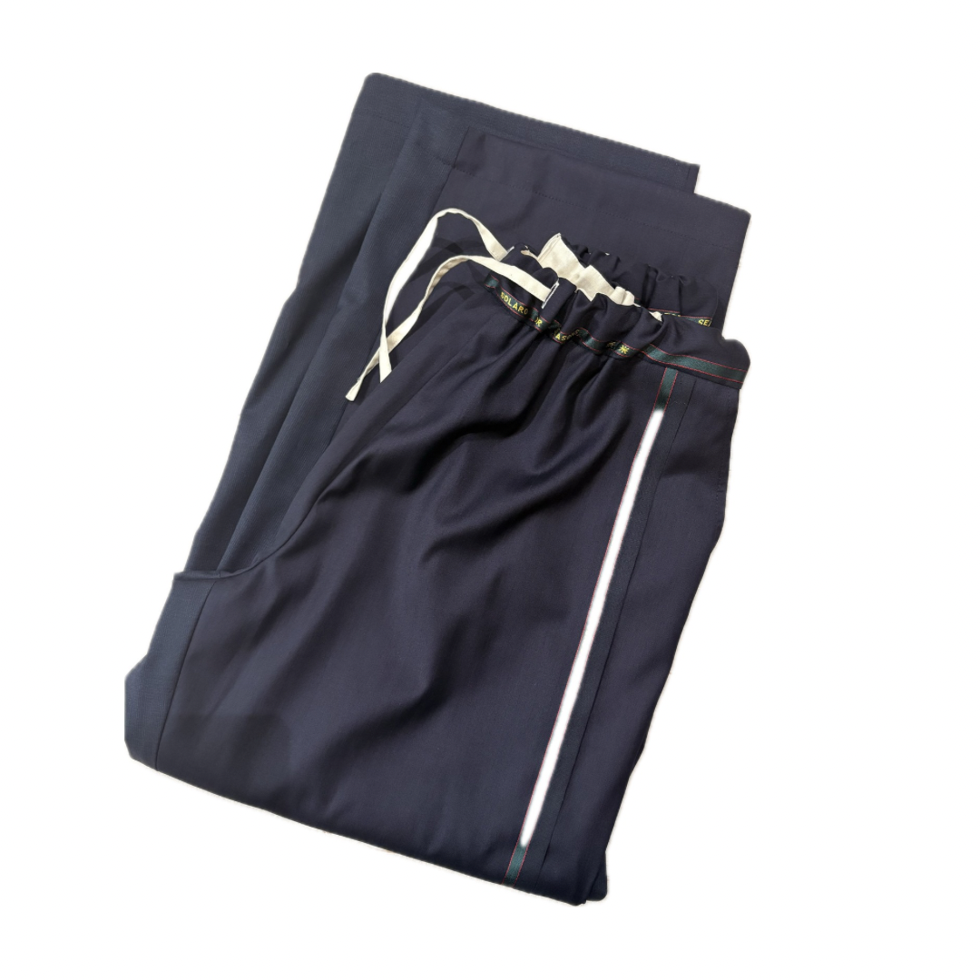 Power pants (suits fabric) 2
