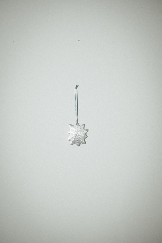 【Karin Okamoto】STAR sk