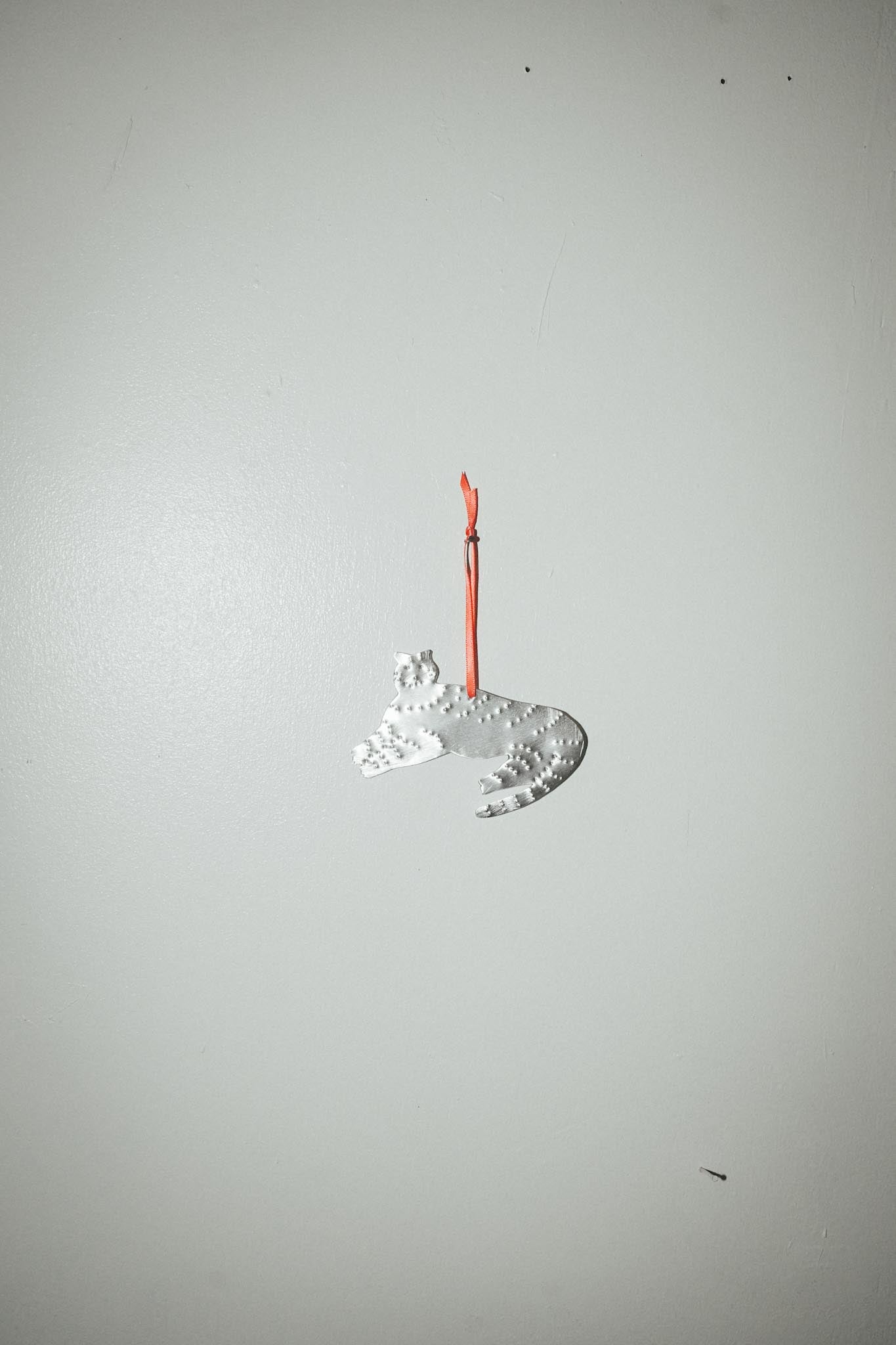 【Karin Okamoto】TIGER