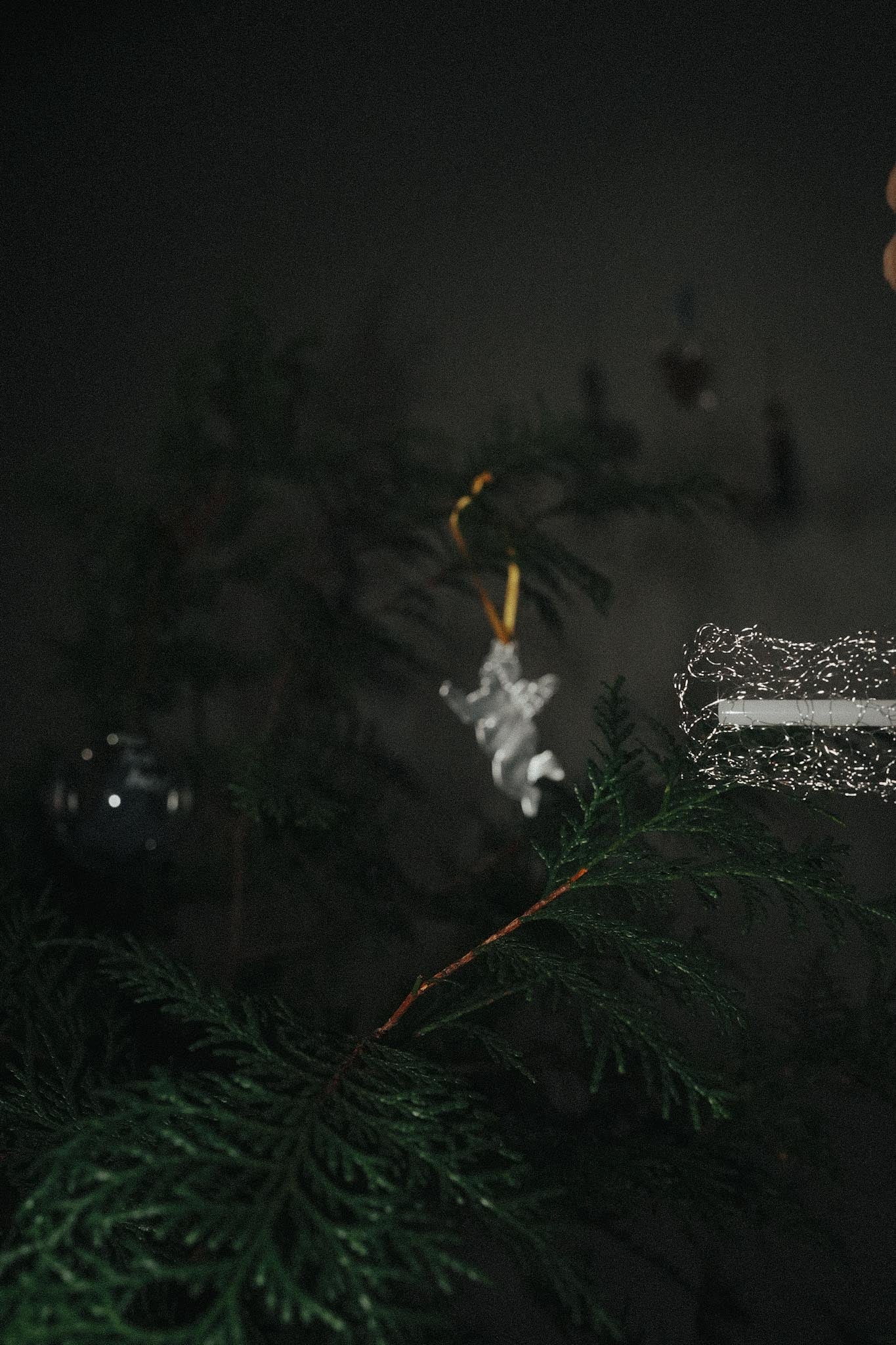 【Karin Okamoto】CUPID y