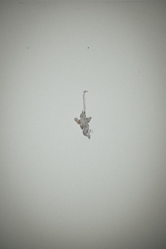 【Karin Okamoto】CUPID p