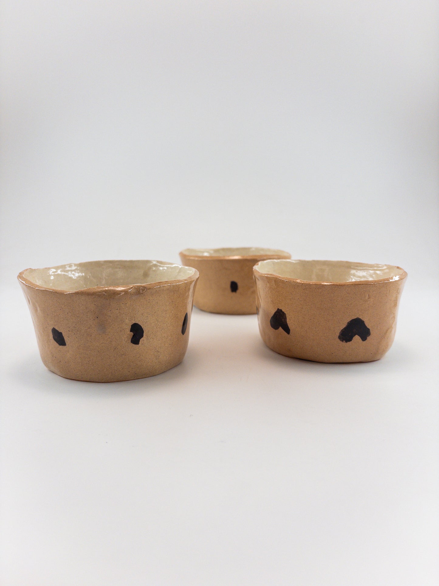 【追分めぐみ】 型鉢　19