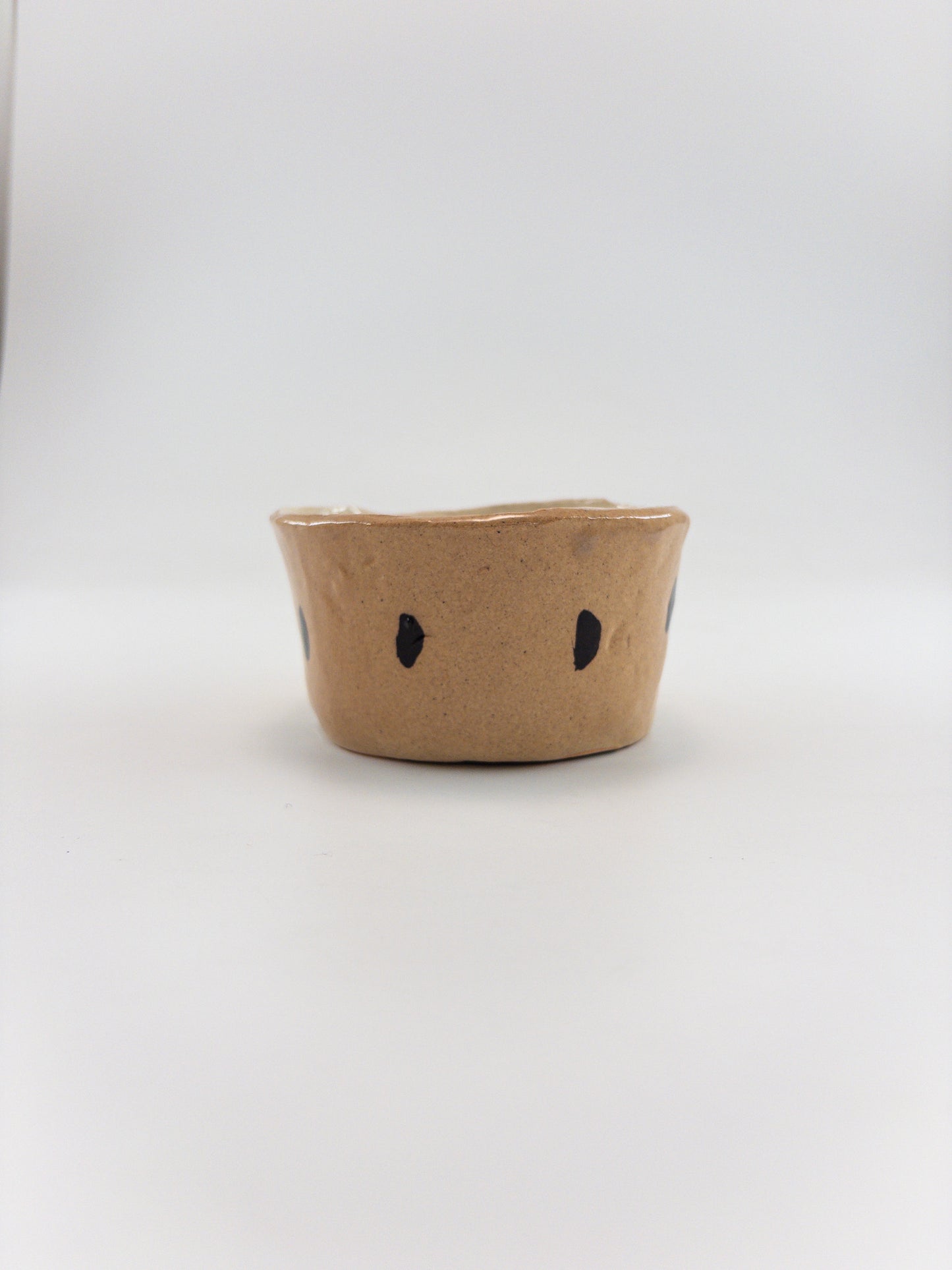 【追分めぐみ】 型鉢　18