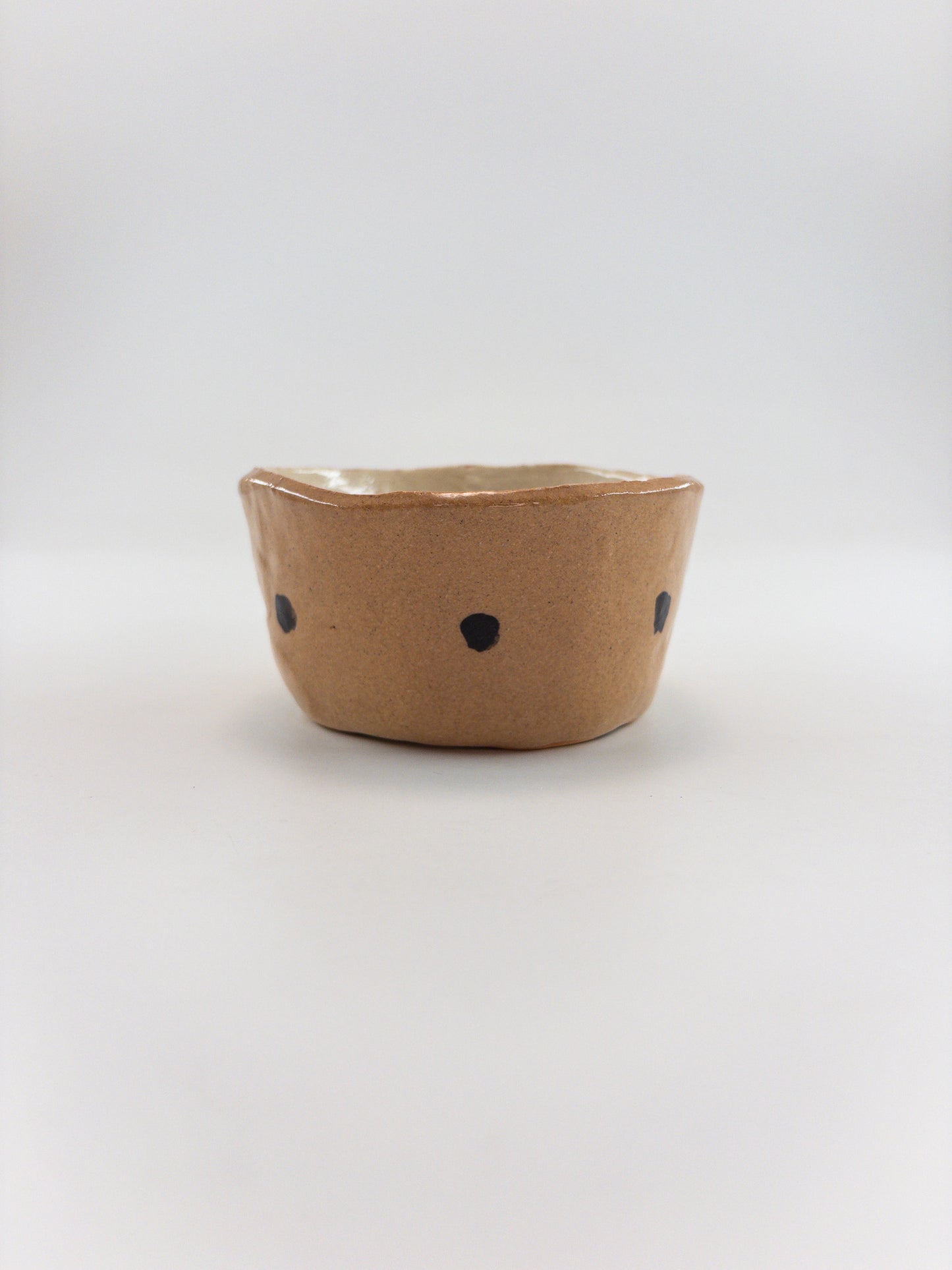 【追分めぐみ】 型鉢　19