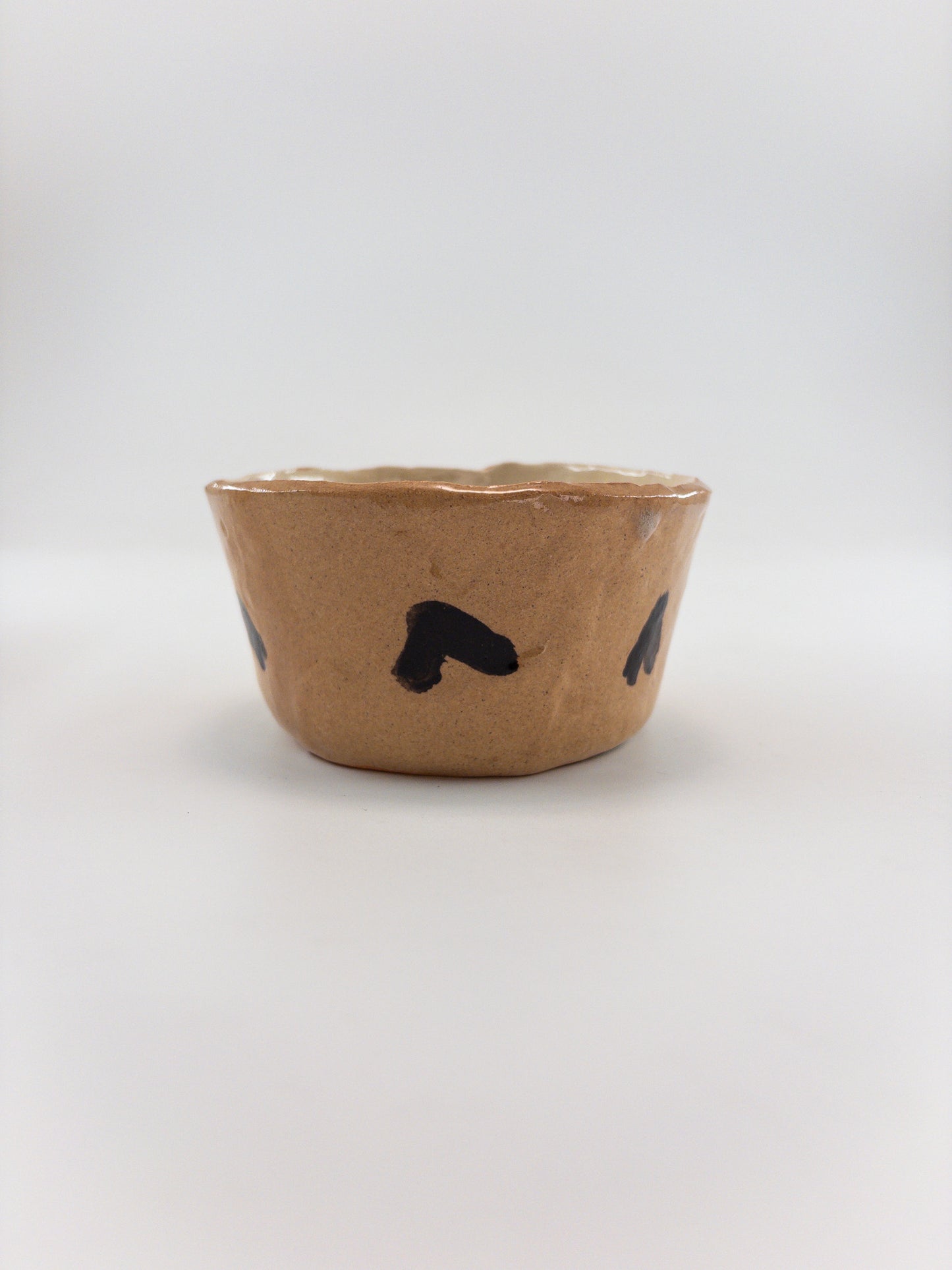 【追分めぐみ】 型鉢　20