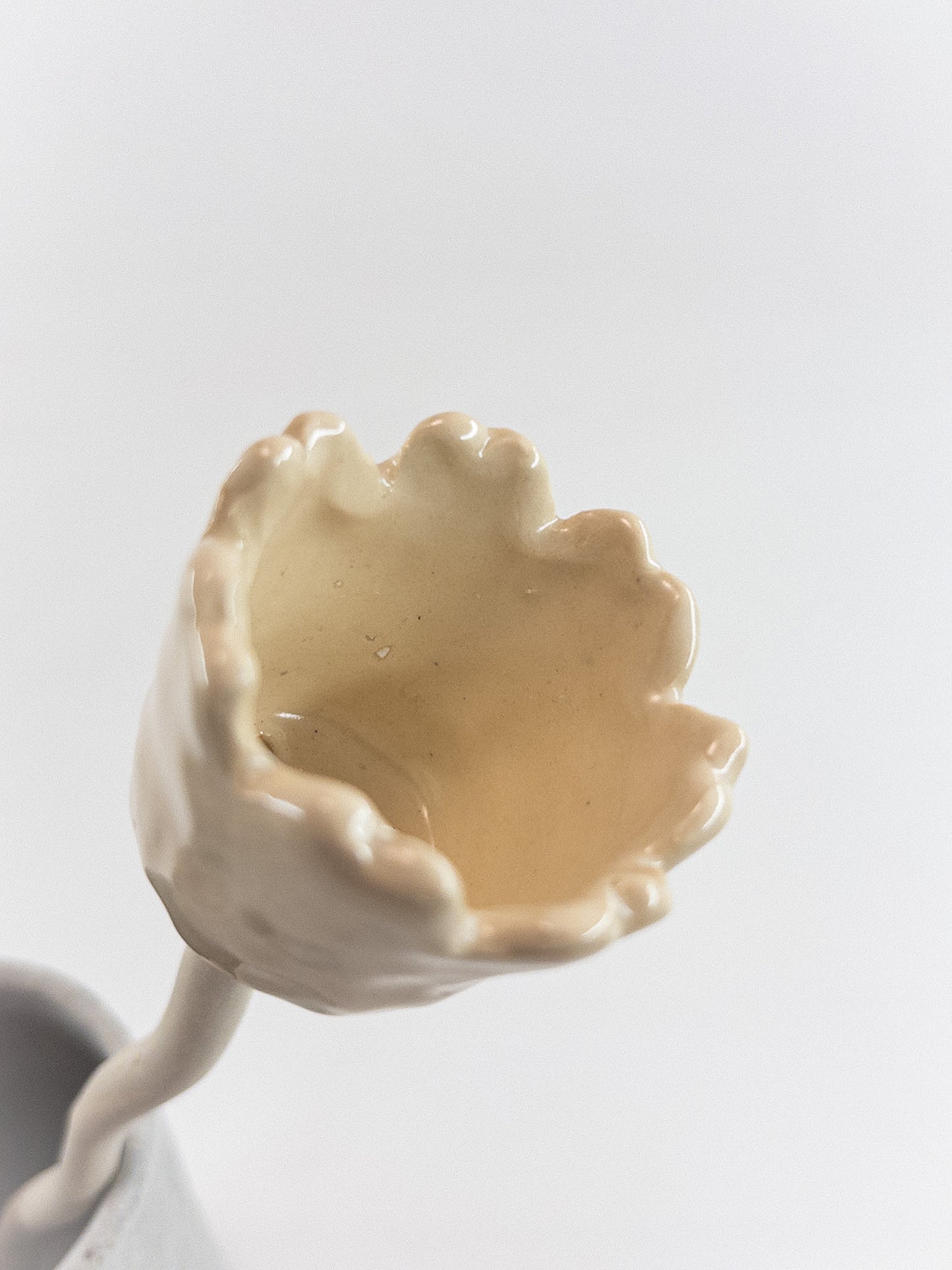 【一色佐和】flow er D