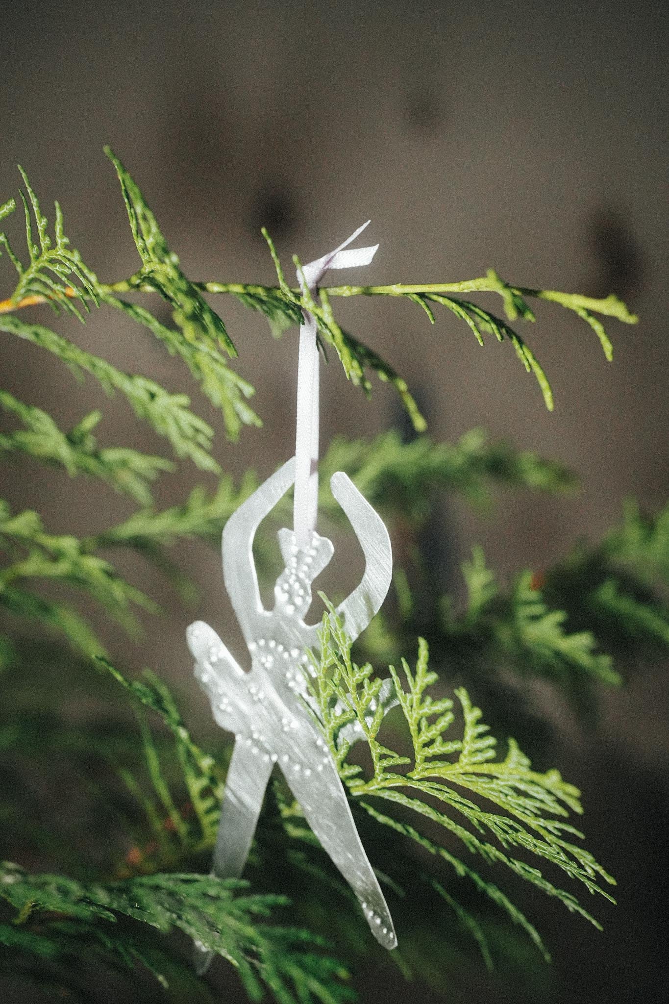 【Karin Okamoto】BALLERINA p