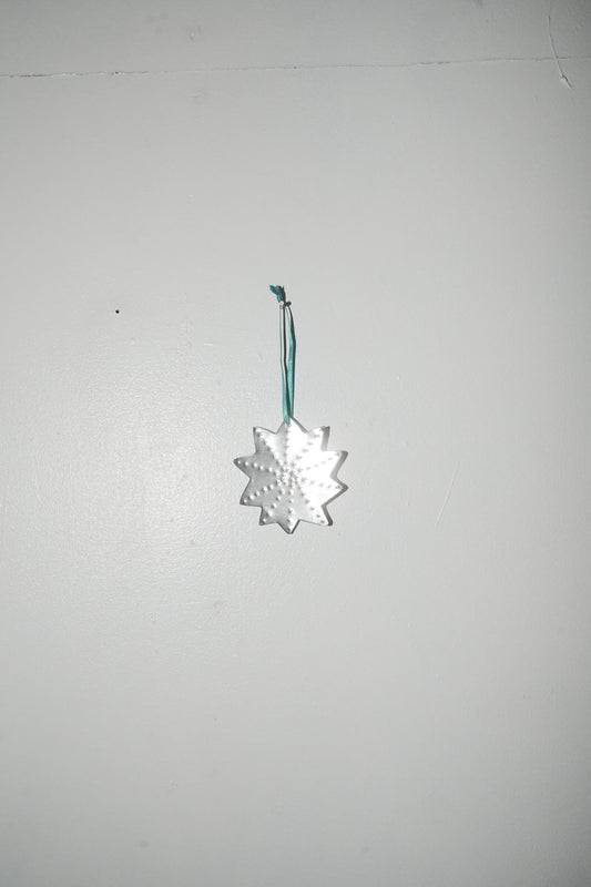 【Karin Okamoto】STAR b