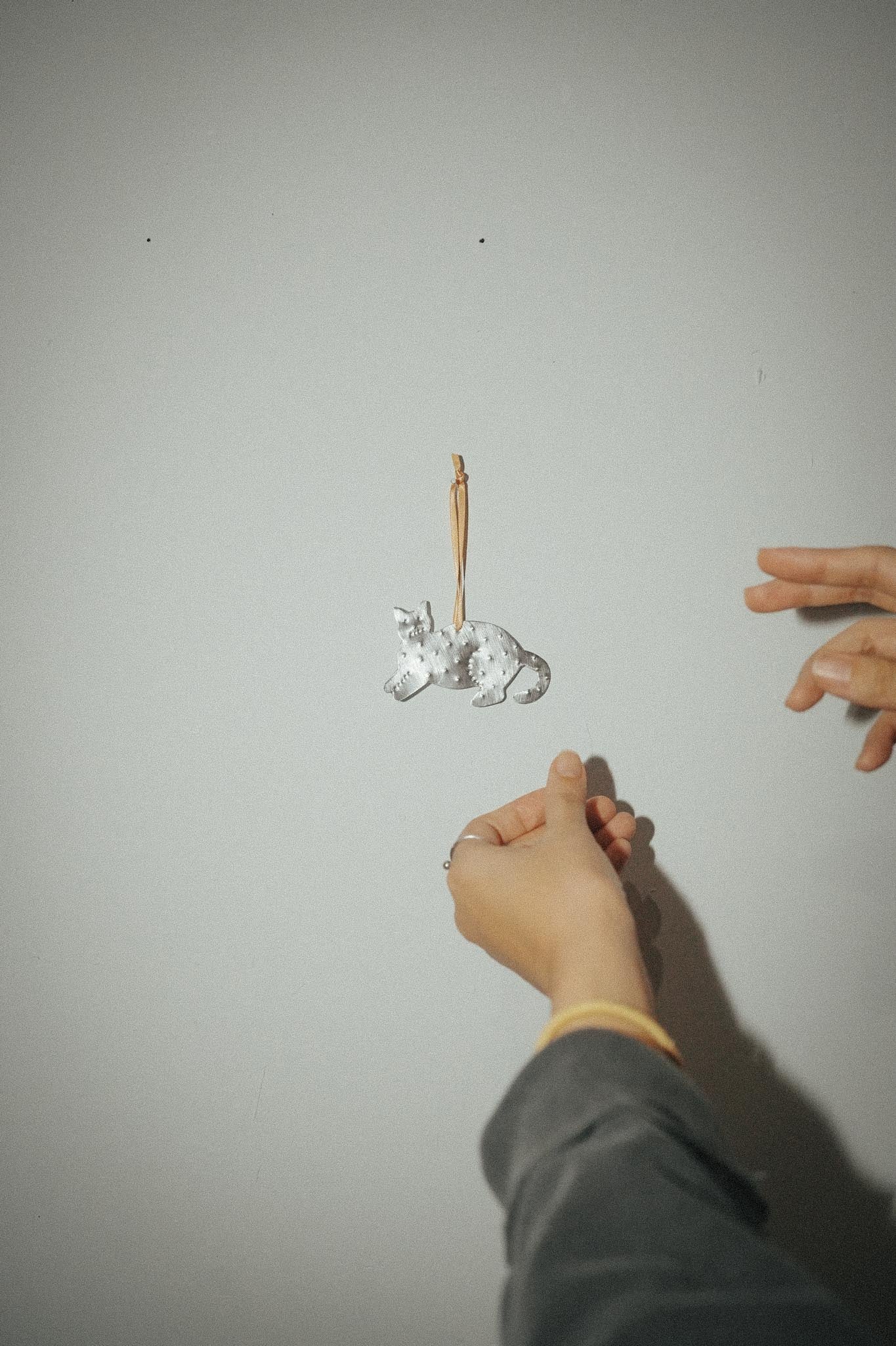 【Karin Okamoto】CAT