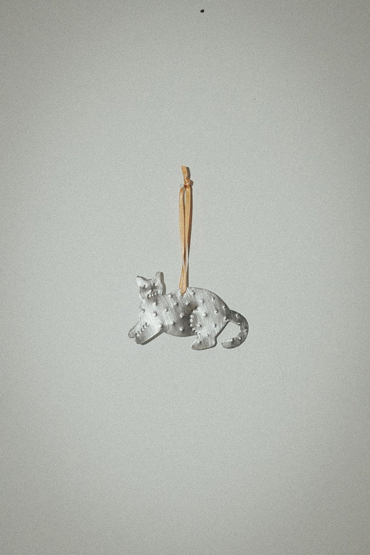 【Karin Okamoto】CAT